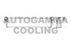 AUTOGAMMA 104699 Radiator, engine cooling
